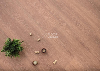 Кварцвиниловые полы Ecoclick Wood  замковый 4.2мм NOX-1614 Дуб Арагон фото 1 | FLOORDEALER